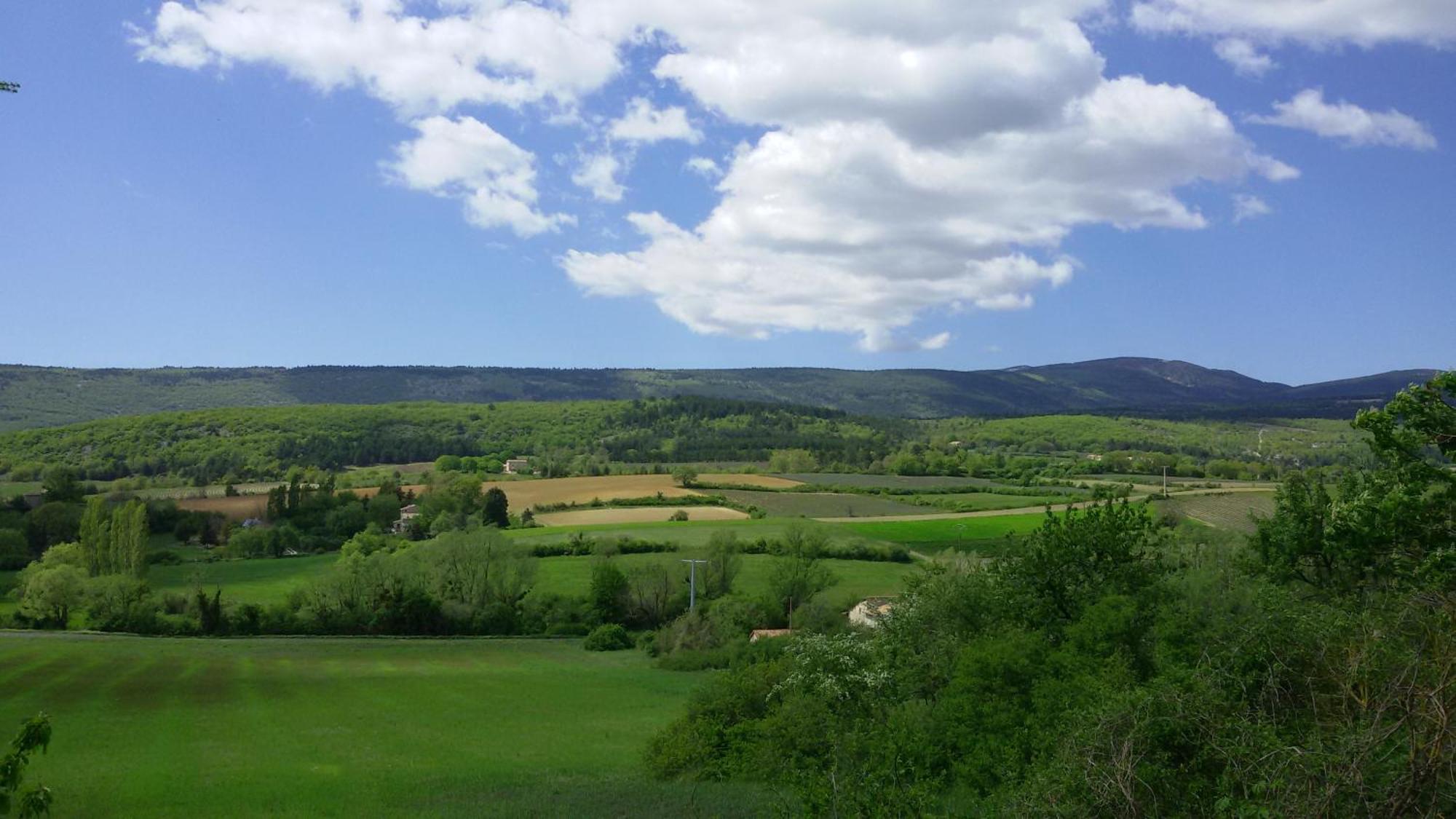 Le Grain De Lavande - Mont Ventoux Sault Exterior foto